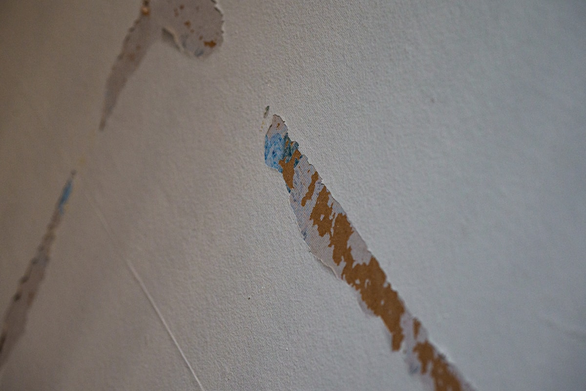 Structural Drying service in Albany, GA